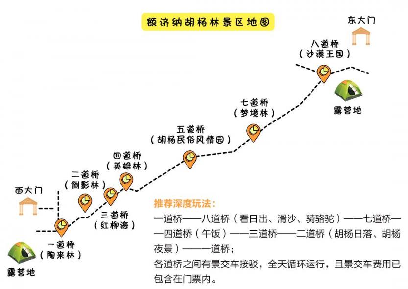胡杨林